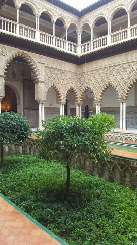 s188 alcazar